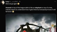 Fans juga menggunakan meme gajah untuk mengolok-olok Arsenal yang tidak akan menjadi juara meski mampu menduduki puncak klasemen. Ya, ampun! (Foto: Twitter)