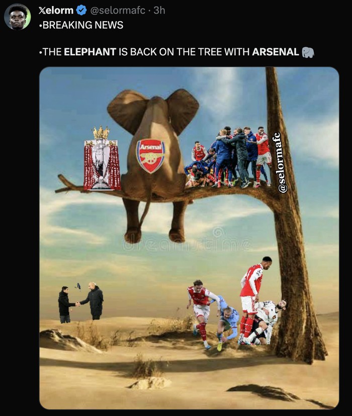Meme Arsenal Meme gajah Arsenal di pucuk klasemen Premier League.