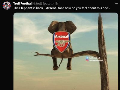 Meme Gajah Muncul Lagi Usai Arsenal ke Puncak Klasemen Liga Inggris