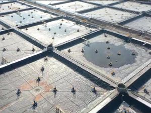 Tingkatkan Ekonomi Daerah, Gubernur Kalteng Bangun Shrimp Estate