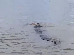 Momen Warga Tangkap Buaya gegara Terkam Bocah 10 Tahun hingga Tewas