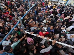 Italia Setop Dana Bantuan ke Badan PBB untuk Pengungsi Palestina