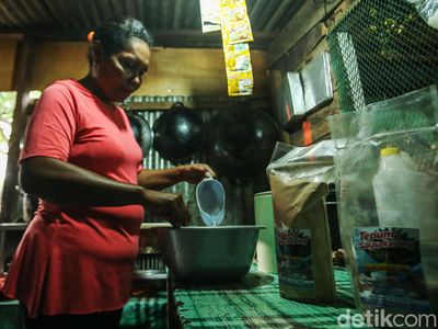 Melihat Pembuatan Papeda yang Khas di Merauke