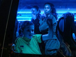 Hamas Bebaskan 17 Sandera pada Tahap Ketiga, Ditukar 39 Tahanan Palestina