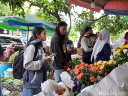 Tren Sarkem Date Bikin Pedagang Pasar Kembang Solo Cuan Jutaan Per Hari