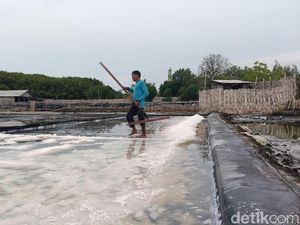 Target Produksi Garam Probolinggo Optimis Tercapai Terbantu Kemarau Panjang Target Produksi Garam Probolinggo Optimis Tercapai Terbantu Kemarau Panjang