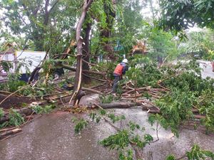 RTH Makassar Rawan Pohon Tumbang, Hindari Parkir Saat Hujan-Angin Kencang RTH Makassar Rawan Pohon Tumbang, Hindari Parkir Saat Hujan-Angin Kencang