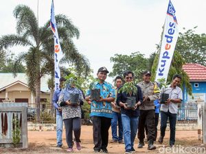 110 Bibit Kelengkeng Hijaukan Desa Salor Indah Papua Selatan 110 Bibit Kelengkeng Hijaukan Desa Salor Indah Papua Selatan
