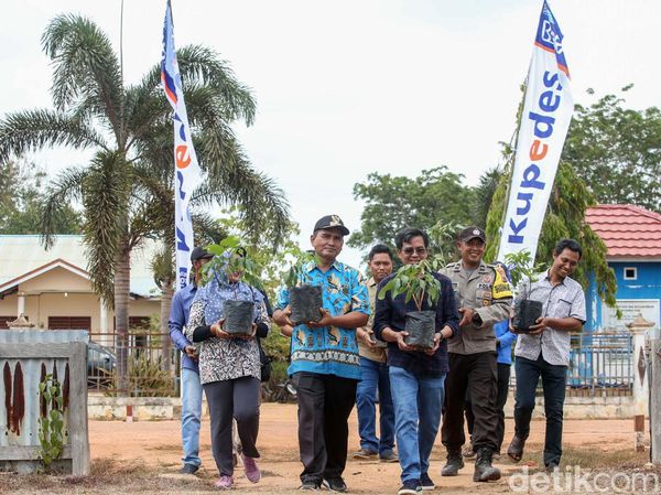 110 Bibit Kelengkeng Hijaukan Desa Salor Indah Papua Selatan