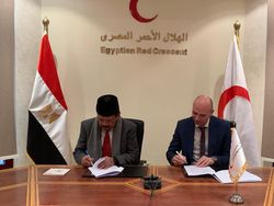 Bantu Palestina, BAZNAS Kerja Sama dengan Lembaga Zakat Mesir dan Bulan Sabit Merah