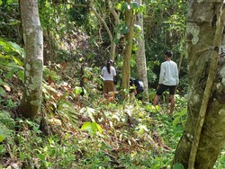 3 Pelajar SMP Tewas Kecelakaan Usai Motor Terjun ke Jurang