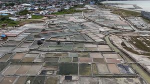Foto Udara Kawasan Produksi Garam yang Sepi Imbas Hujan Terus-terusan