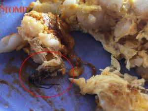 Duh! Dikira Daun Bawang, Pelanggan Ini Hampir Telan Kecoak dalam Kuenya