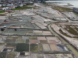 Musim Hujan Datang, Produksi Garam Menurun