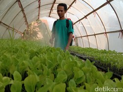 Memupuk Asa dari Penyemaian Menjaga Ketahanan Pangan