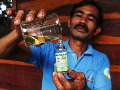 Potret Pemanfaatan Serai Jadi Minyak Urut hingga Karbol