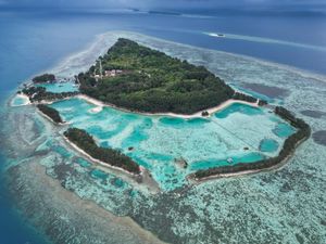 Snorkeling di Pulau Payung, Air Hijau Kebiruan, Banyak Ikan Kecil nan Cantik Snorkeling di Pulau Payung, Air Hijau Kebiruan, Banyak Ikan Kecil nan Cantik