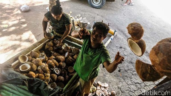 Raup Puluhan Juta, Laris Manis Usaha Kopra Desa Palaes