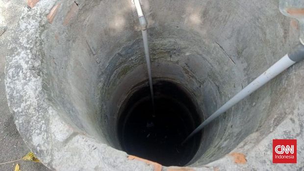 Hasil Uji Anggur Shine Muscat di 7 Pintu Masuk, BPOM Pastikan Aman dari Pestisida
