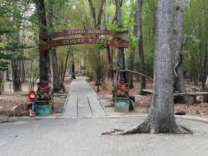 Tahura Bunder Gunungkidul: Daya Tarik, Harga Tiket, dan Lokasi