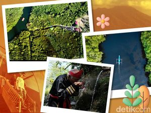 Terpilih Jadi Desa BRILian, Desa Palaes Likupang Simpan Potensi Apa Saja? Terpilih Jadi Desa BRILian, Desa Palaes Likupang Simpan Potensi Apa Saja?