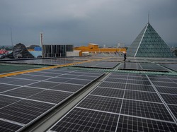 TSM Cibubur Punya Kebun Matahari, Bisa Kurangi Polusi Segini Banyak