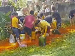 Warga Berebut Minyak CPO yang Tumpah di Tol Belmera