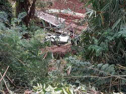 Video Avanza Maut Tewaskan Pengantin Baru dan Ortu di Sumedang