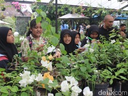 Keseruan Wisata Alam di Beenyo Farm Sambil Belajar Budi Daya Bugenvil