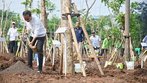 Hijaukan Jakarta JIEP Jadi Tuan Rumah Gerakan Tanam Pohon Bersama Jokowi