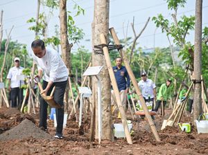 Hijaukan Jakarta JIEP Jadi Tuan Rumah Gerakan Tanam Pohon Bersama Jokowi