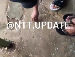 Heboh Fenomena Hujan Es di Timor Tengah Selatan, Bupati: Sering Terjadi