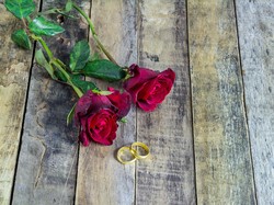 Owner WO Ayu Puspita Tipu Korban dengan Modus Paket Promo