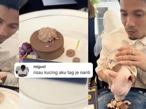Kafe di Malaysia Ini Tawarkan Menu Fine Dining Mewah Untuk Kucing Kafe di Malaysia Ini Tawarkan Menu Fine Dining Mewah Untuk Kucing