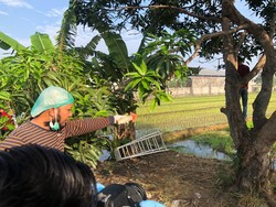 Akhir Hidup Pemuda Sidoarjo Gantung Diri di Pohon Mangga