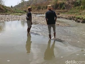 DLH Ponorogo Telah Tangani Cemaran Kotoran Sapi di Sungai Tapi Gagal DLH Ponorogo Telah Tangani Cemaran Kotoran Sapi di Sungai Tapi Gagal