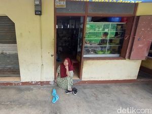 Edeh Waswas Babi Hutan Kembali Teror Rumahnya di KBB