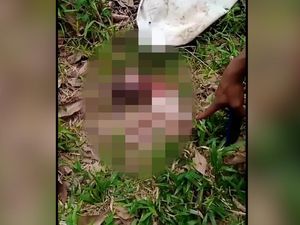 Miris! Mayat Bayi Sudah Dimakan Anjing Sebagian Ditemukan di Lampung