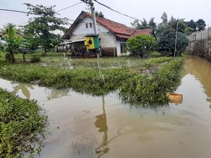 Hujan Deras di Bogor, Banjir Setinggi 1 Meter Rendam Sejumlah Rumah Warga