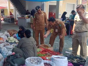 Harga Cabai Rawit di Luwu Timur Naik dari Rp 50.000/Kg Jadi Rp 85.000/Kg Harga Cabai Rawit di Luwu Timur Naik dari Rp 50.000/Kg Jadi Rp 85.000/Kg