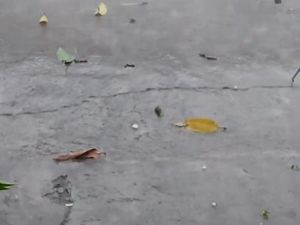 Warga Rekam Butiran Es Saat Lamongan Diguyur Hujan Disertai Angin Kencang