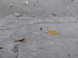 Warga Rekam Butiran Es Saat Lamongan Diguyur Hujan Disertai Angin Kencang