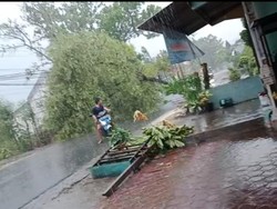 Angin Kencang di Lamongan Tumbangkan Pohon dan Rusak 46 Rumah Warga