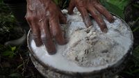 Wow, Harga Karet di Bengkulu Turun