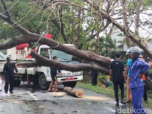 Angin Kencang Terjang Lamongan, Pohon Tumbang dan Puluhan Rumah Rusak Angin Kencang Terjang Lamongan, Pohon Tumbang dan Puluhan Rumah Rusak
