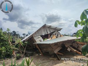 KLHK Gelar Operasi Gabungan Tindak Perambahan dan Perusakan TNTN