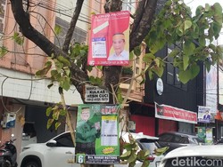 Pohon-pohon di Ruas Jalan Makassar Masih Marak Dipaku Spanduk Caleg