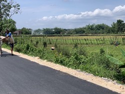 Jalan Poros Desa Tingkatkan Ekonomi Warga di Kabupaten Bojonegoro