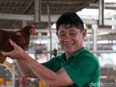 Potret Robby Jadi Agen BRILink Nyambi Ternak Ayam Petelur di Likupang