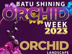 Dorong Ekonomi dan Bangkitkan Budi Daya Lewat Batu Shining Orchid Week 2023